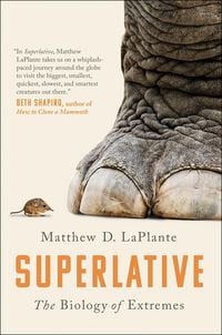 Produktbild: Superlative