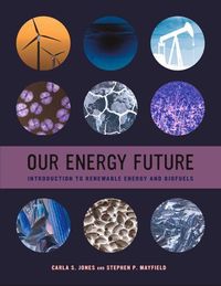 Produktbild: Our Energy Future