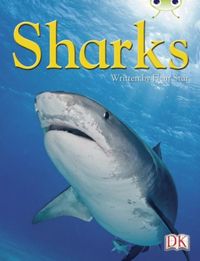 Produktbild: BC NF Blue (KS2) B/4A Sharks