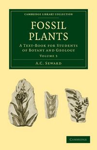 Produktbild: Fossil Plants - Volume 3