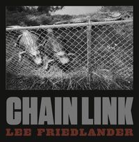 Produktbild: Chain Link