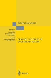 Produktbild: Perfect Lattices in Euclidean Spaces