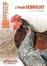 Produktbild: Poule sebright