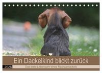 Produktbild: Ein Dackelkind blickt zur&uuml;ck (Tischkalender 2026 DIN A5 quer), CALVENDO Monatskalender