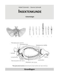 Produktbild: Insektenkunde