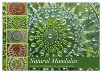 Produktbild: Natural Mandalas - Kraftvolle KI Mandalas aus Naturmaterialien (Wandkalender 2026 DIN A2 quer), CALVENDO Monatskalender