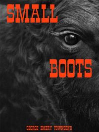 Produktbild: Small Boots (Cooper Series, #4)