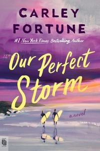 Produktbild: Our Perfect Storm