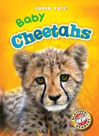 Produktbild: Baby Cheetahs