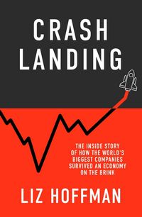 Produktbild: Hoffman, L: Crash Landing