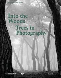 Produktbild: Into the Woods