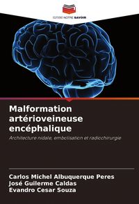 Produktbild: Malformation art&eacute;rioveineuse enc&eacute;phalique