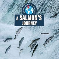 Produktbild: A Salmon's Journey
