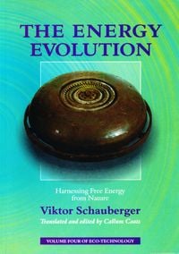 Produktbild: The Energy Evolution - Harnessing Free Energy from Nature