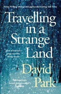 Produktbild: Travelling in a Strange Land