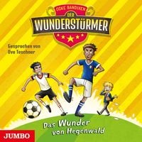 Produktbild: Der Wunderst&uuml;rmer. Das Wunder von Hegenwald [Band 6]