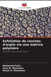 Produktbild: Exfoliation de couches d'argile via une matrice polym&egrave;re