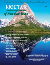 Produktbild: Nectar of Non-Dual Truth #30