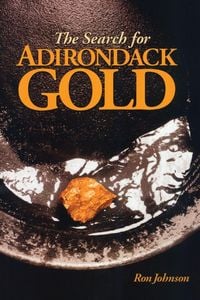 Produktbild: The Search For Adirondack Gold