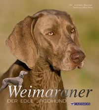Produktbild: Weimaraner