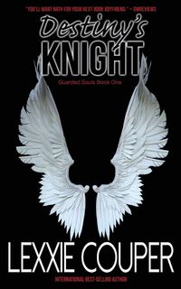 Produktbild: Destiny's Knight