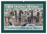 Produktbild: Die letzten Wilden - freilebende Pferde in D&uuml;lmen (Wandkalender 2027 DIN A2 quer), CALVENDO Monatskalender