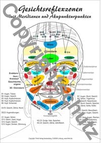 Produktbild: Gesichtsreflexzonen