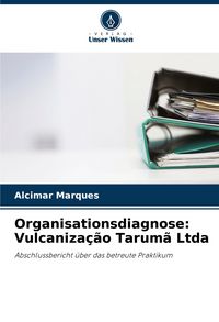 Produktbild: Organisationsdiagnose: Vulcaniza&ccedil;&atilde;o Tarum&atilde; Ltda