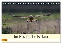 Produktbild: Im Revier der Falken (Tischkalender 2026 DIN A5 quer), CALVENDO Monatskalender