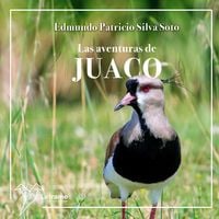 Produktbild: Las aventuras de Juaco