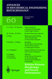 Produktbild: Relation Between Morphology and Process Performances