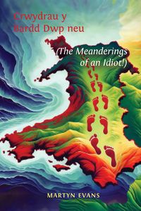 Produktbild: Crwydrau y Bardd Dwp neu/or The meanderings of an Idiot!