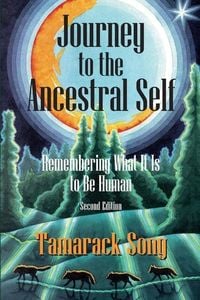 Produktbild: Journey to the Ancestral Self