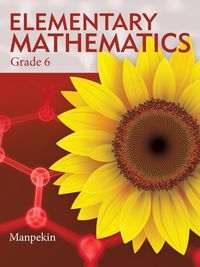 Produktbild: Elementary Mathematics Grade 6