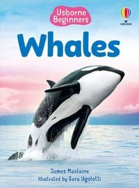 Produktbild: Beginners Whales
