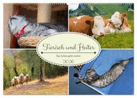 Produktbild: Tierisch und Heiter - Das Leben geht weiter 2026 (Wandkalender 2026 DIN A2 quer), CALVENDO Monatskalender