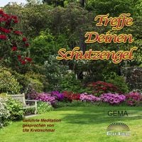 Produktbild: Treffe Deinen Schutzengel