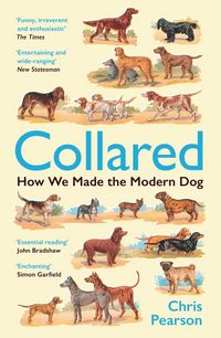 Produktbild: Collared