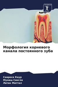 Produktbild: Morfologiq kornewogo kanala postoqnnogo zuba