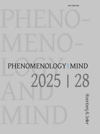 Produktbild: Phenomenology and Mind 28