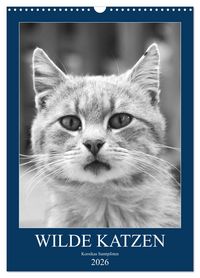 Produktbild: Wilde Katzen - Korsikas Samtpfoten (Wandkalender 2026 DIN A3 hoch), CALVENDO Monatskalender