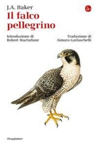 Produktbild: Il falco pellegrino