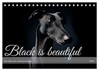 Produktbild: Black is beautiful (Tischkalender 2026 DIN A5 quer), CALVENDO Monatskalender