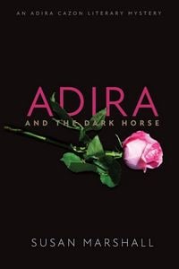 Produktbild: Adira and the Dark Horse