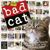 Produktbild: Bad Cat Wall Calendar 2027