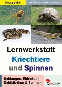 Produktbild: Lernwerkstatt Kriechtiere und Spinnen