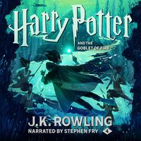 Bild vom Artikel Harry Potter and the Goblet of Fire vom Autor J. K. Rowling