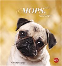 Bild vom Artikel Mops Postkartenkalender 2024. Die kleinen Hunde in einem Postkarten-Fotokalender porträtiert. Kleiner Kalender zum Aufstellen oder Aufhängen für Hu vom Autor 