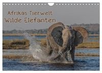 Produktbild: Afrikas Tierwelt - Wilde Elefanten (Wandkalender 2026 DIN A4 quer), CALVENDO Monatskalender