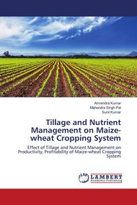 Produktbild: Tillage and Nutrient Management on Maize-wheat Cropping System